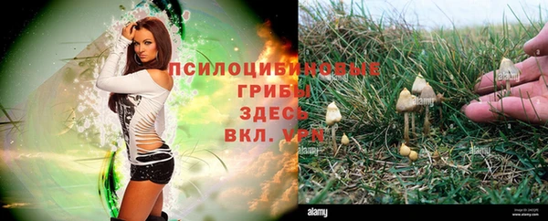 меф VHQ Белокуриха