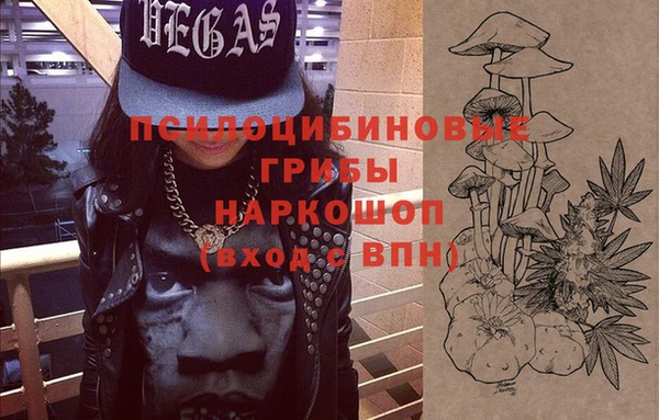 шишки Богородск
