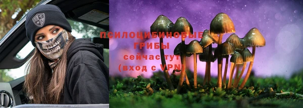 шишки Богородск